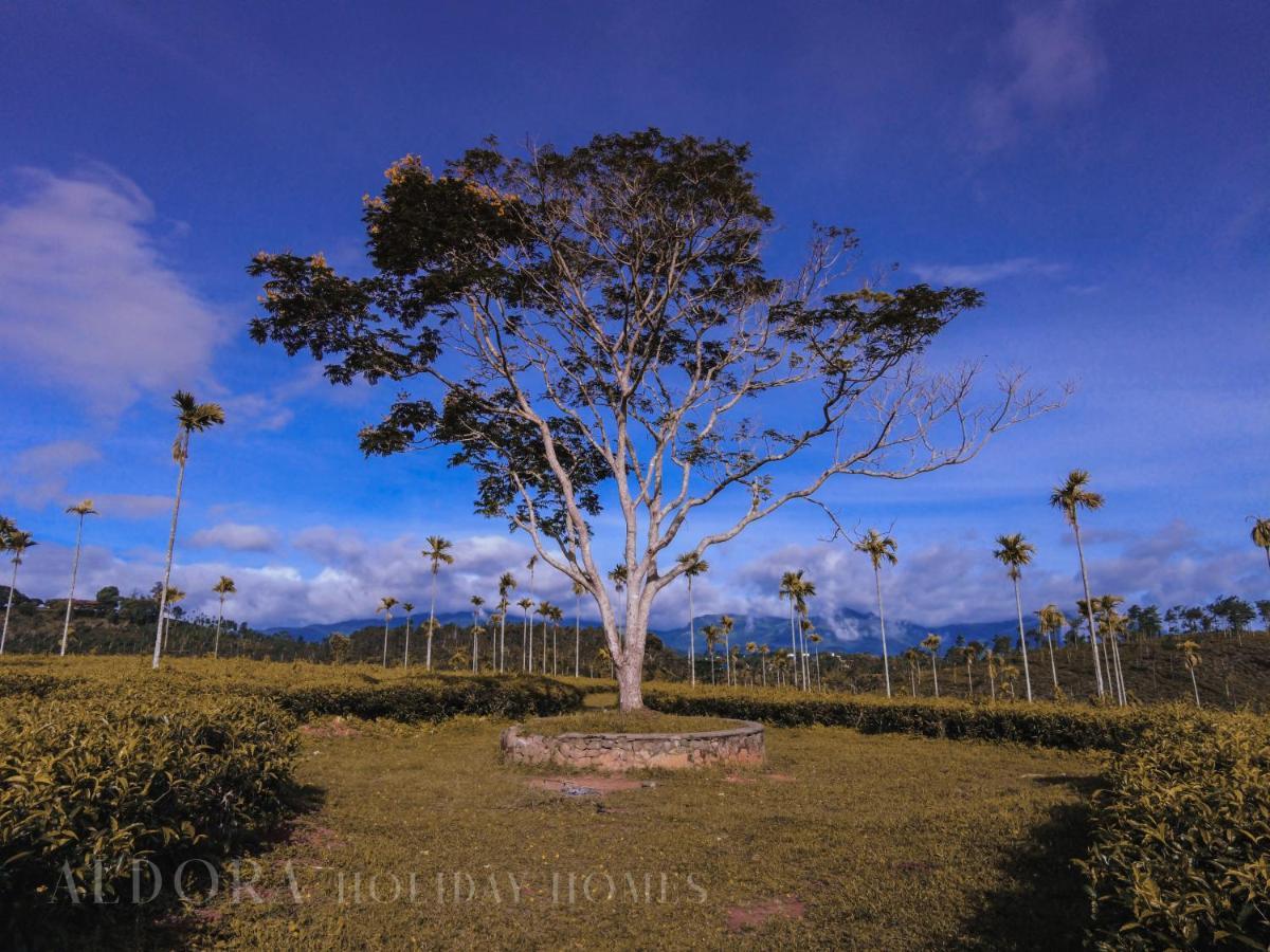 Aldora Holiday Homes ไวทีรี ภายนอก รูปภาพ