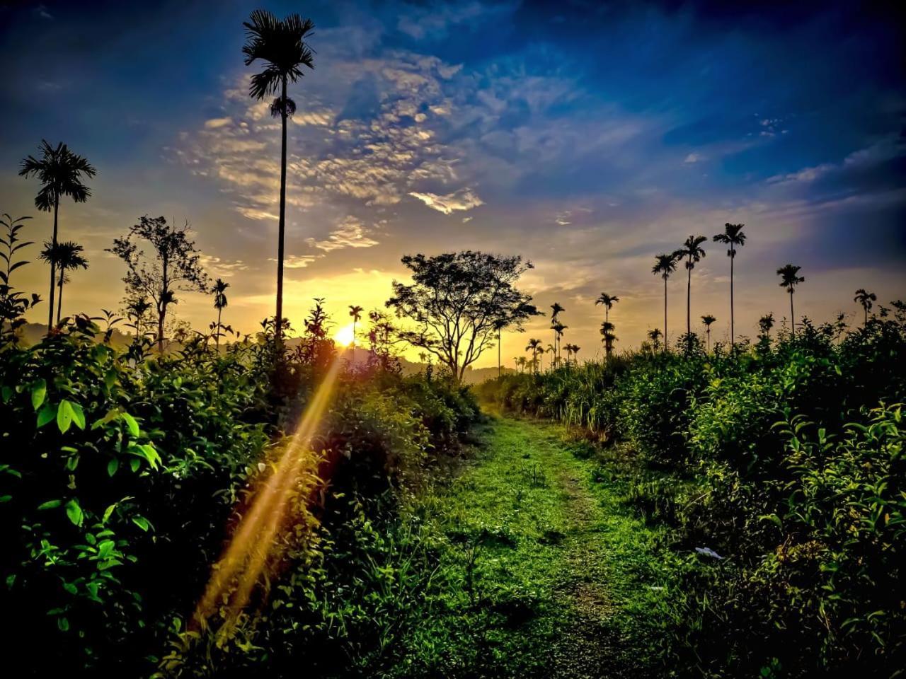 Aldora Holiday Homes ไวทีรี ภายนอก รูปภาพ