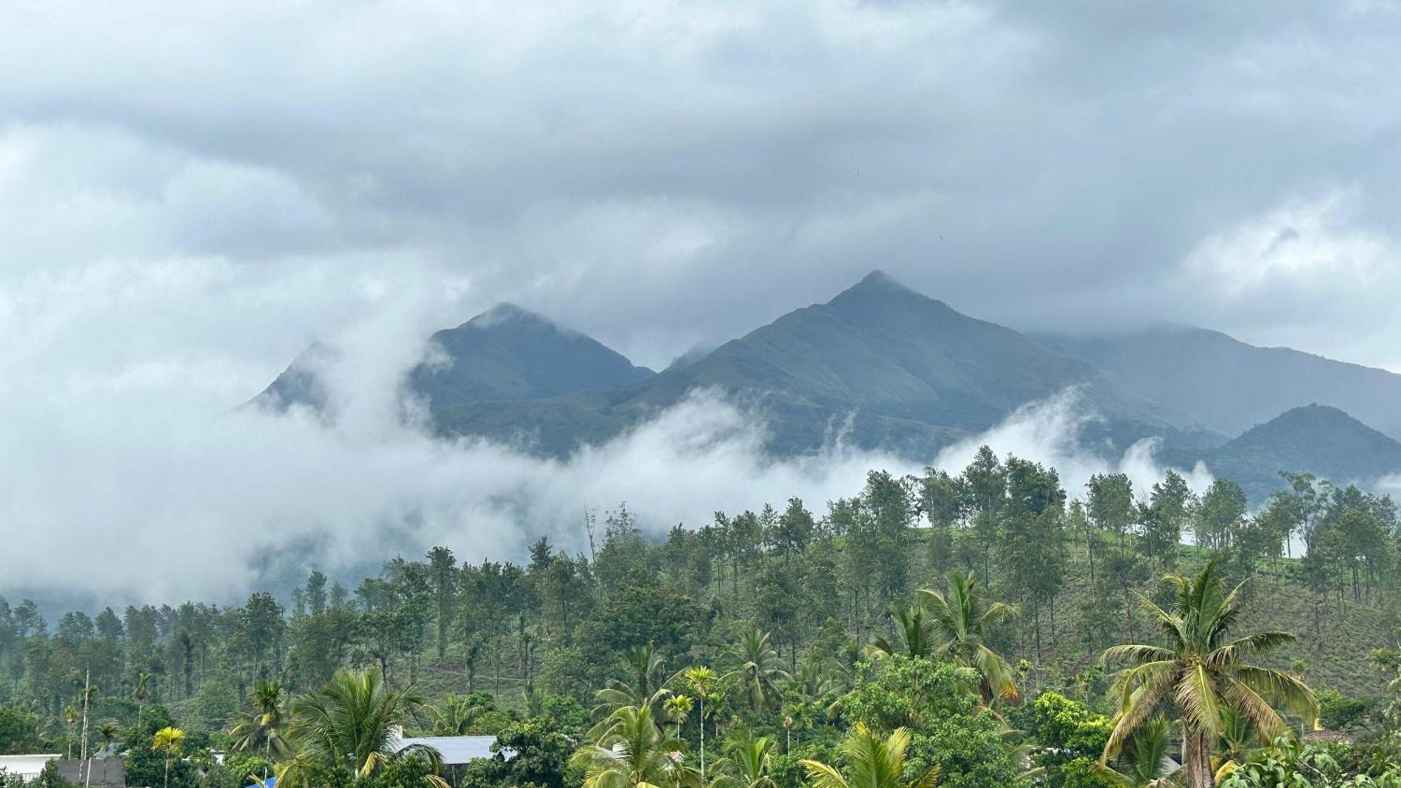Aldora Holiday Homes ไวทีรี ภายนอก รูปภาพ